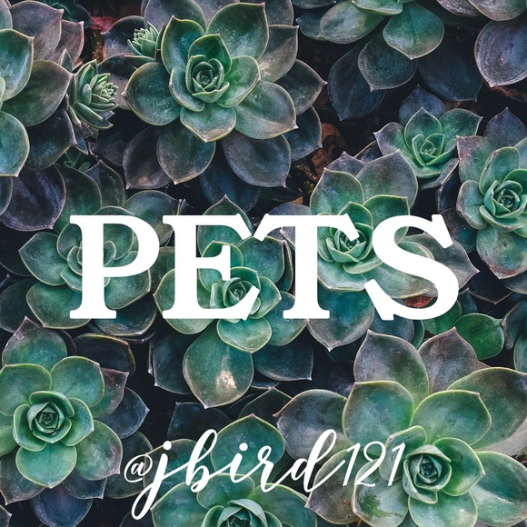 🐶Pets🐹 - Picture 4 of 4